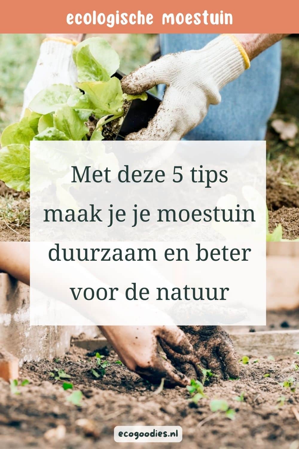 Met Deze Tips Maak Jij Je Moestuin Duurzamer En Beter