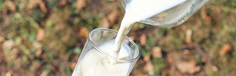 hollandse melk duurzaam
