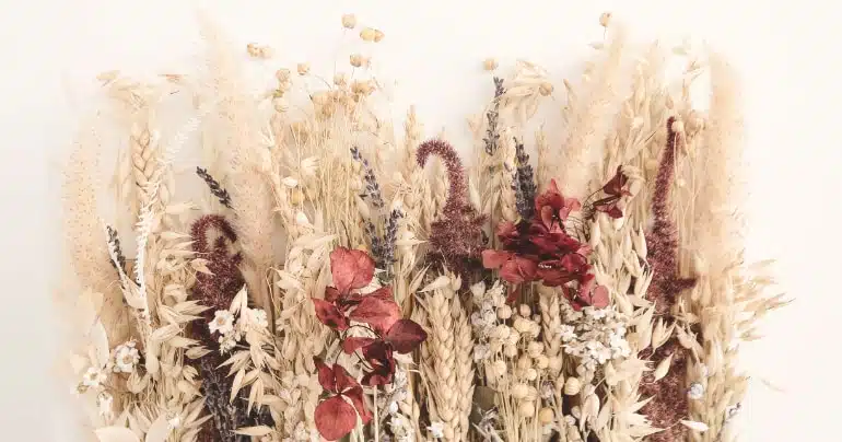 droogbloemen duurzame bloemen