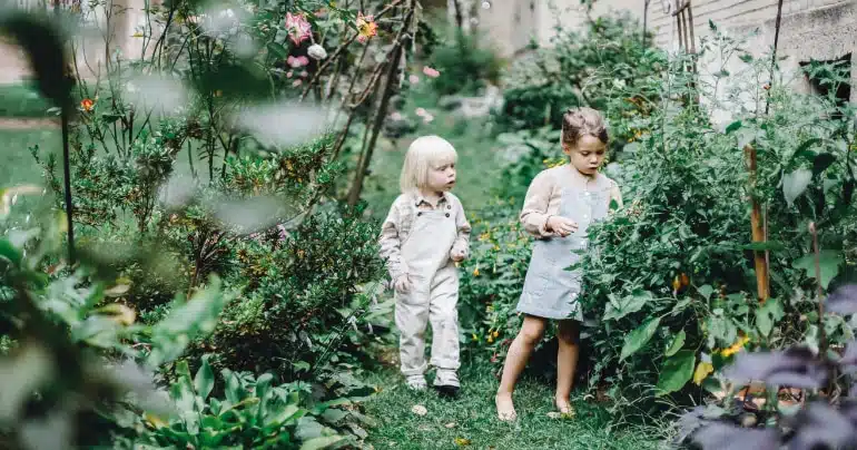 blog tips waterbeheer in tuin drood voorjaar
