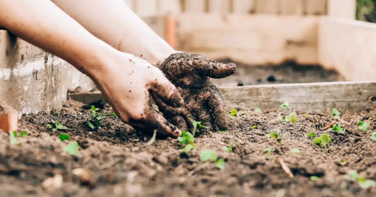 duurzaam moestuinieren