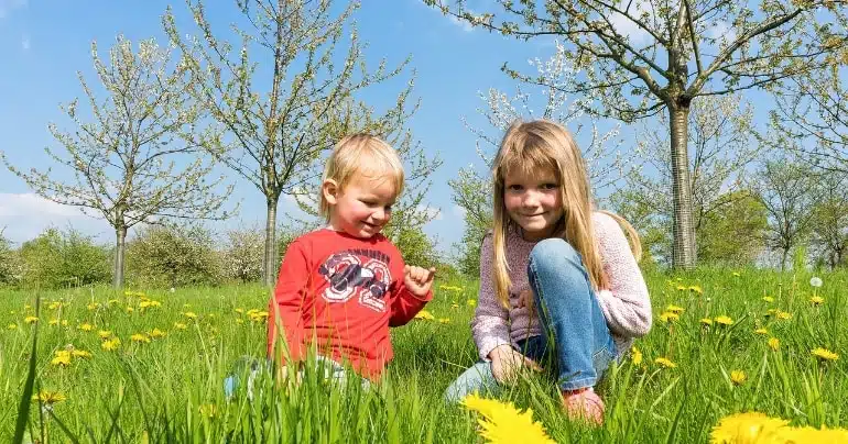 duurzame uitjes zomer blog