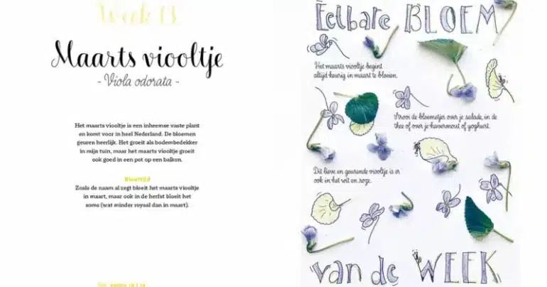 eetbare bloemen boek
