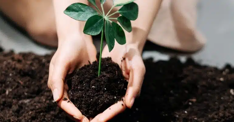 verlaag eco voetprint thuis