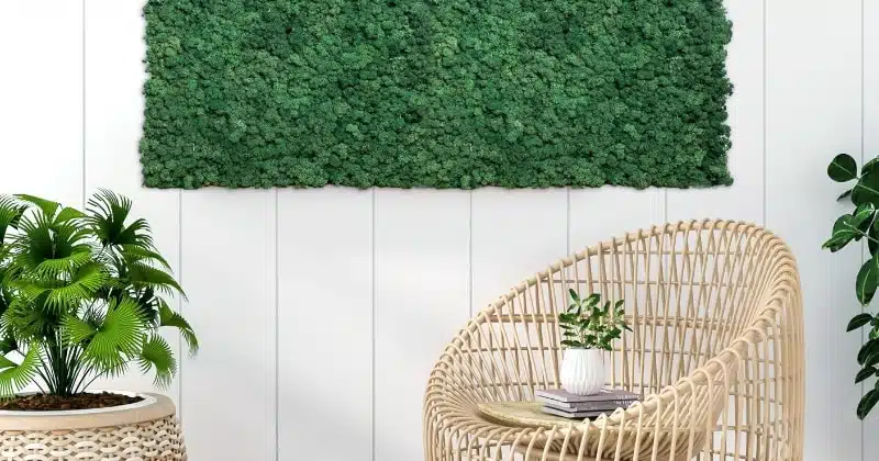 mos panelen duurzame muurdecoratie