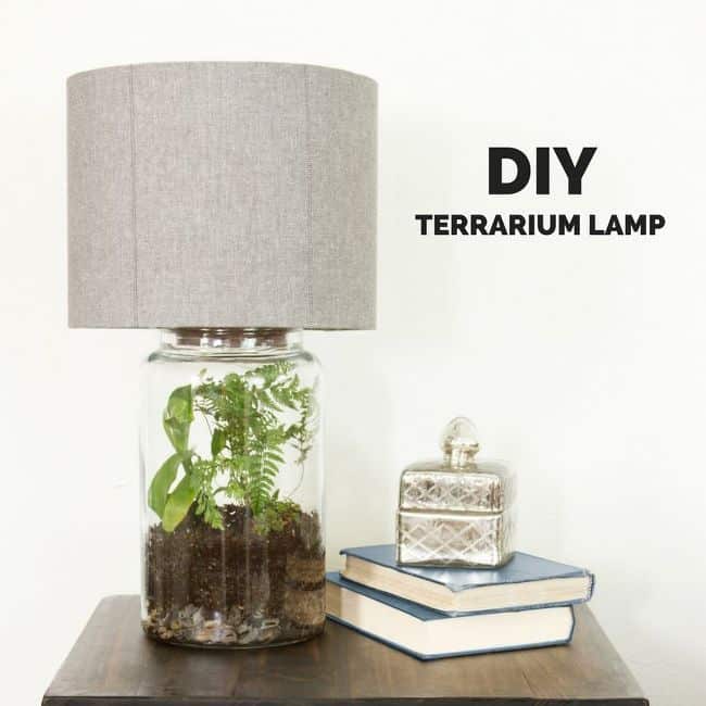 How to Make an Easy DIY Terrarium Lamp Using a Mason Jar