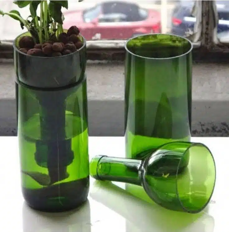 Hydroponic Garden in Glass Bottle Wine Gift Bottle Planter Pot Repurposed Bottle Etsy e1725446915130