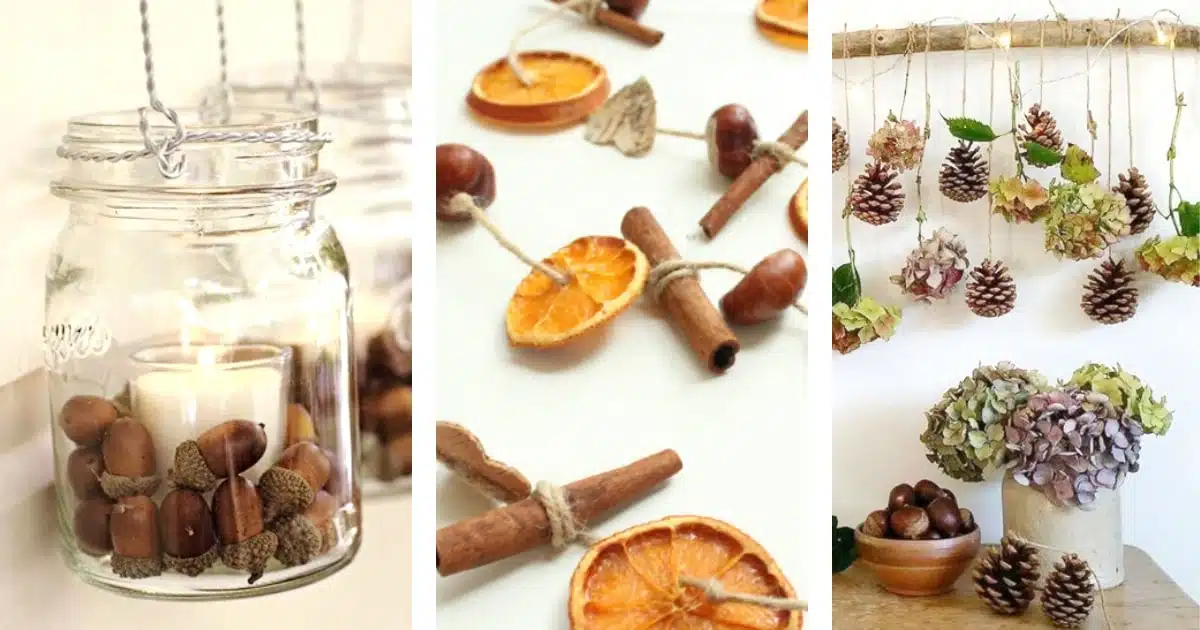 herfstdecoraties duurzaam DIY