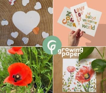 growing paper kaart