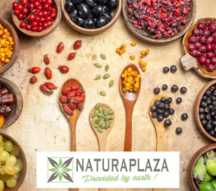Naturaplaza - online biologische natuurwinkel