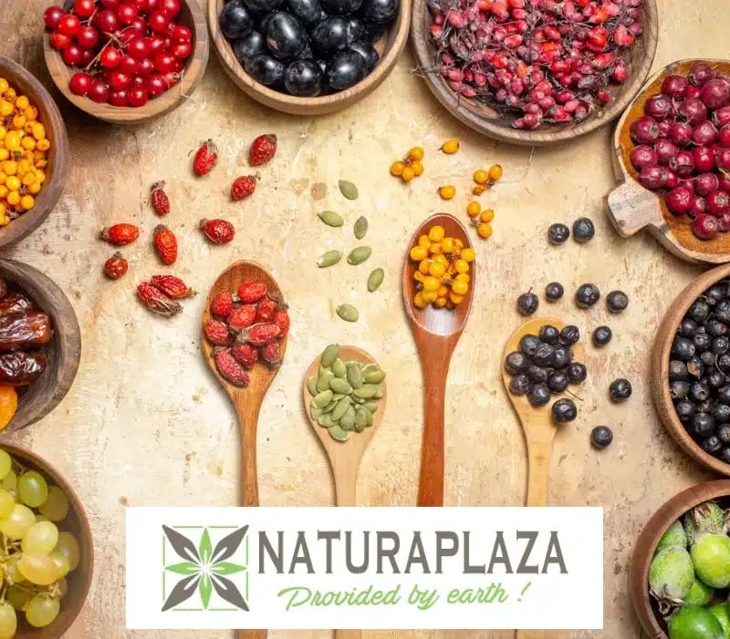 naturaplaza biologische winkel
