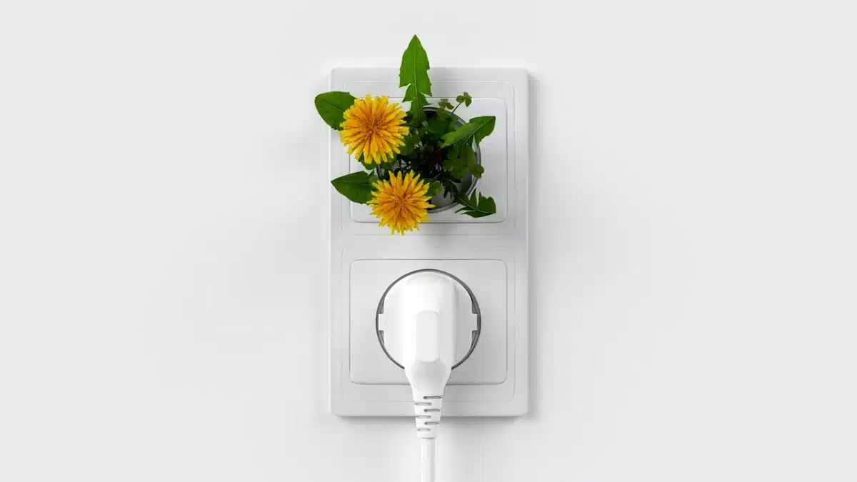 energie zunig wonen
