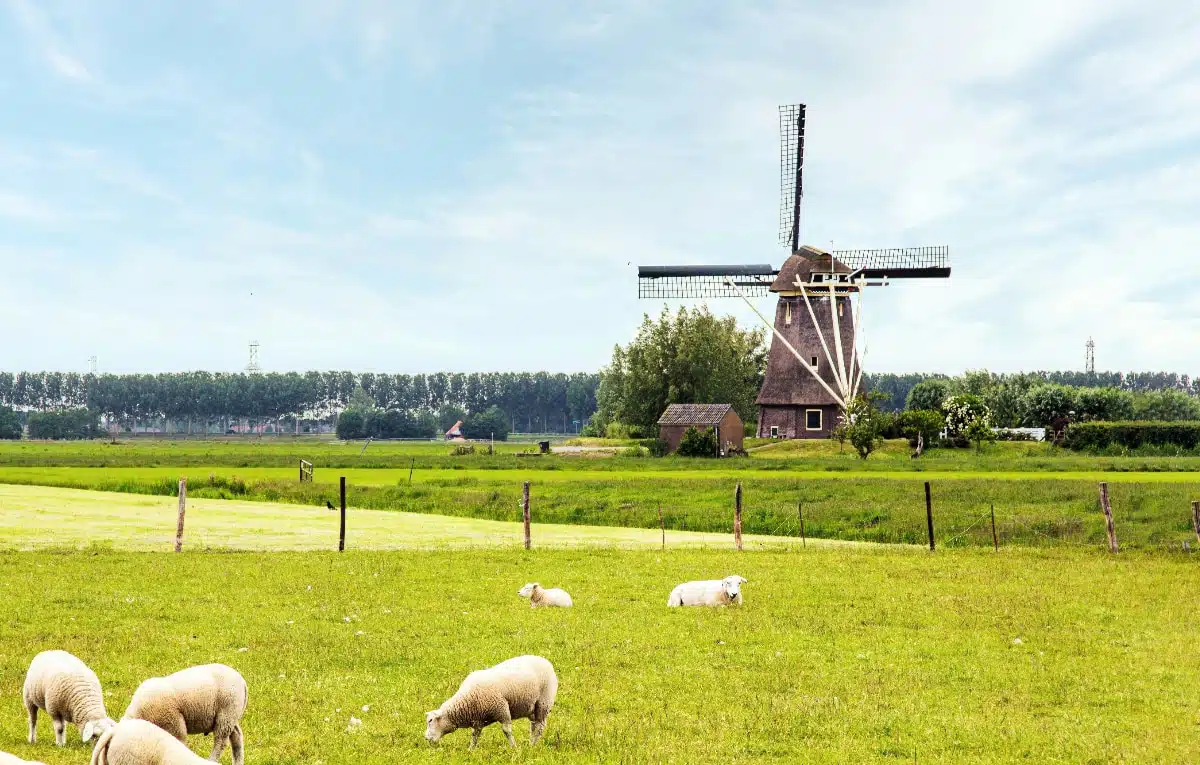 groene energieleverancier