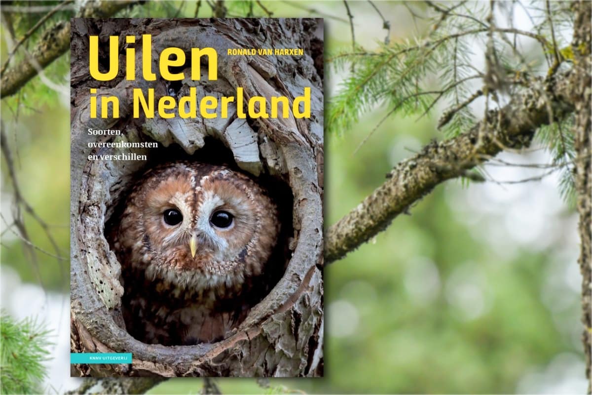 uilen nederland boekreview