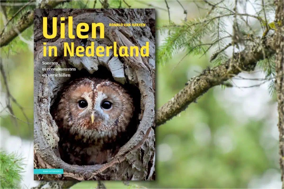 uilen nederland boekreview
